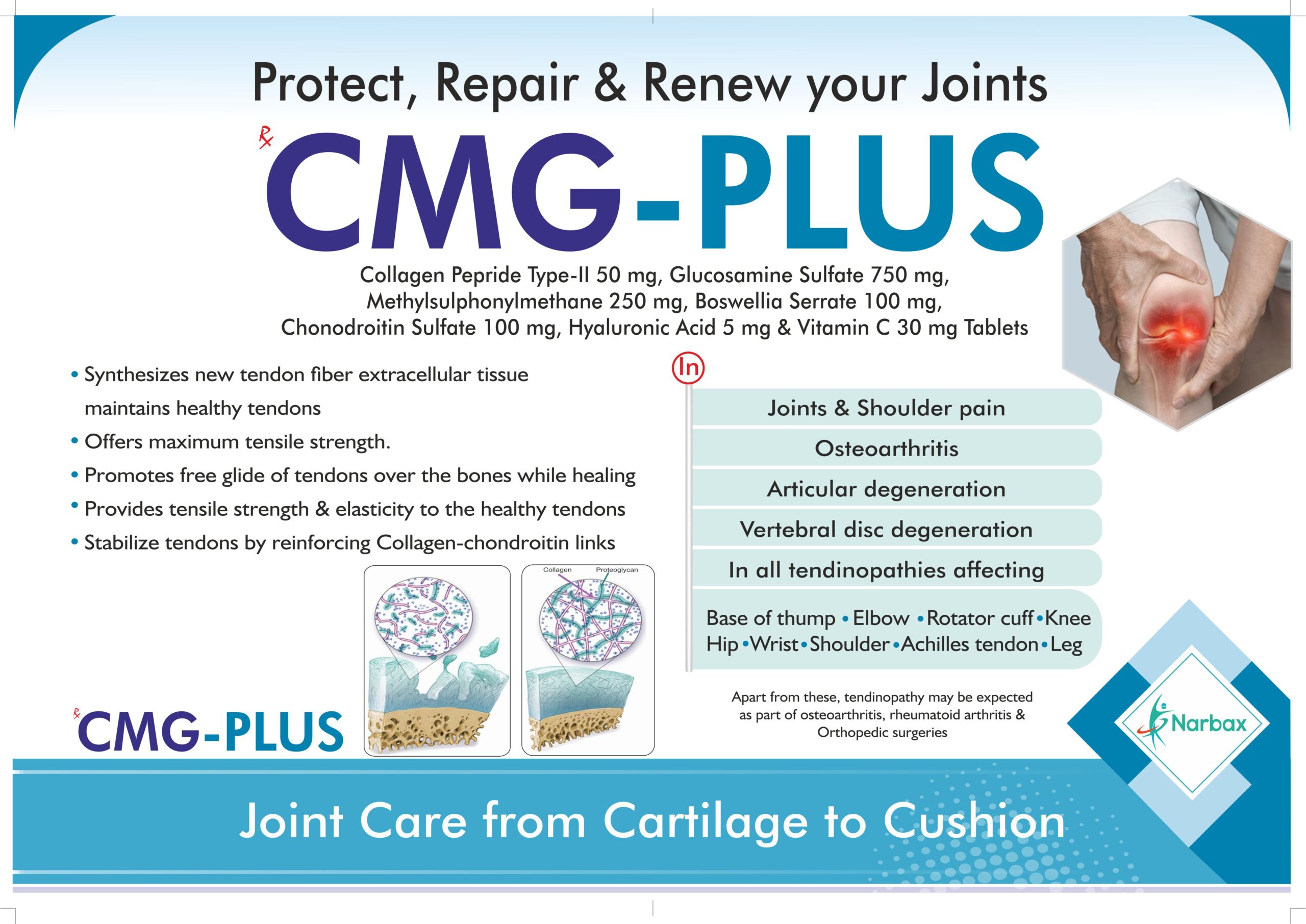 cmg plus (2)